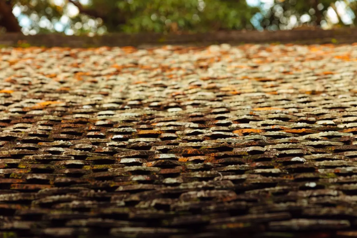 Aging shingle roof with moss growth and granule loss in Manchester, NH